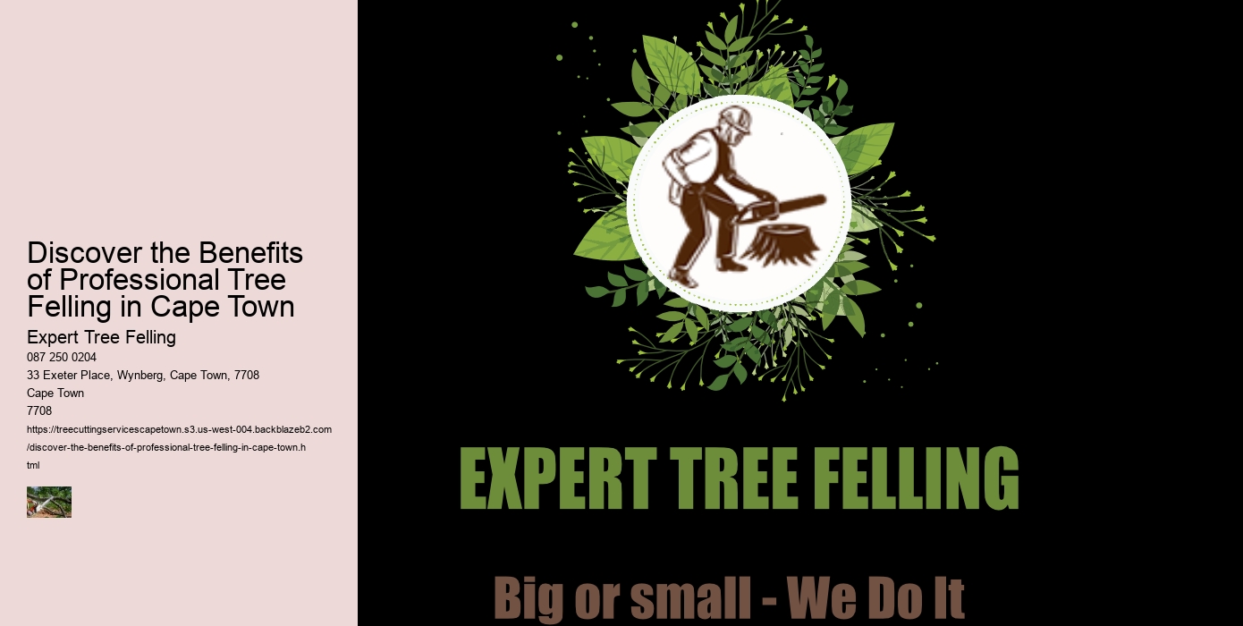 Discover the Benefits of Professional Tree Felling in Cape Town 