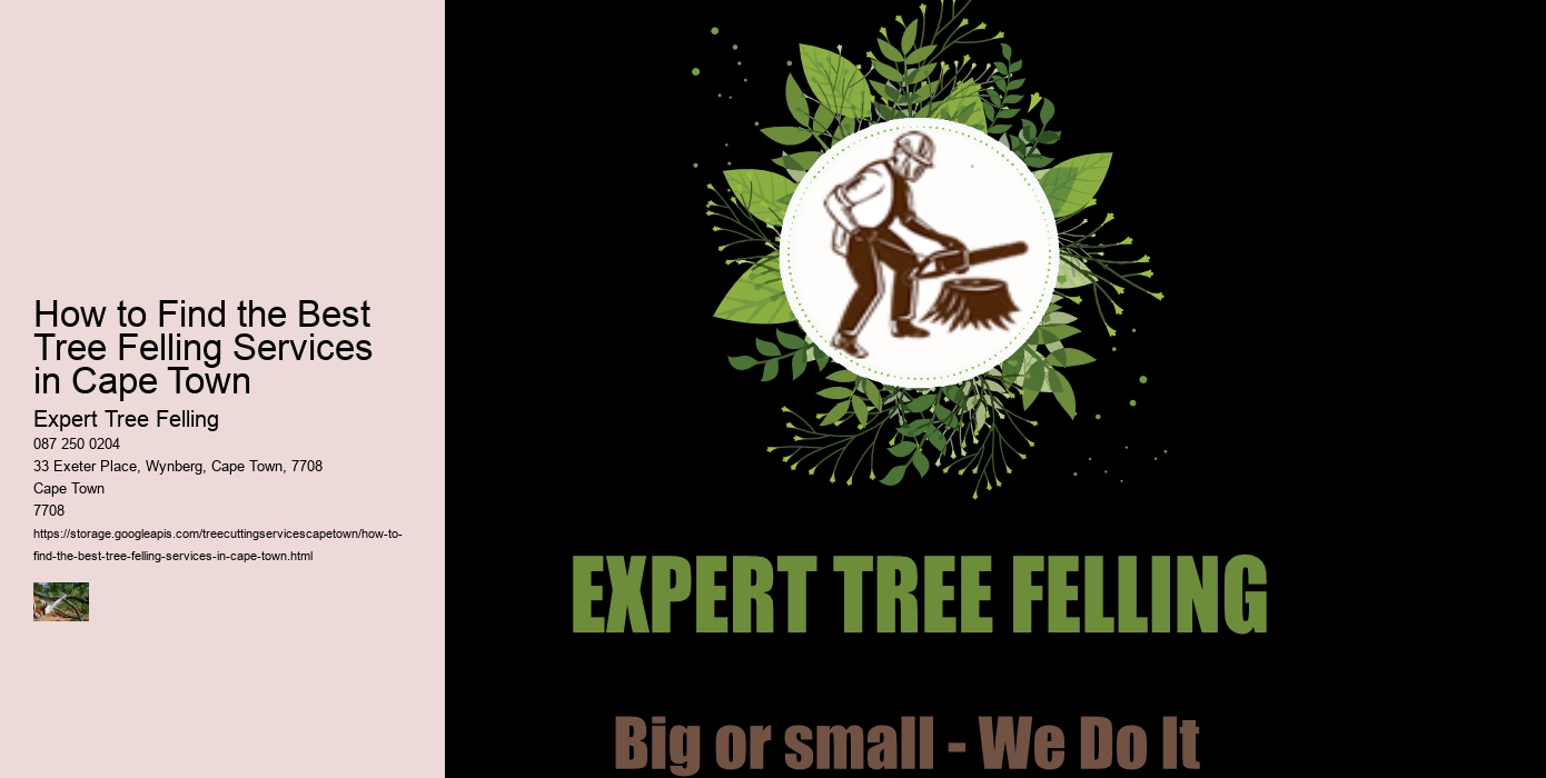 How to Find the Best Tree Felling Services in Cape Town 