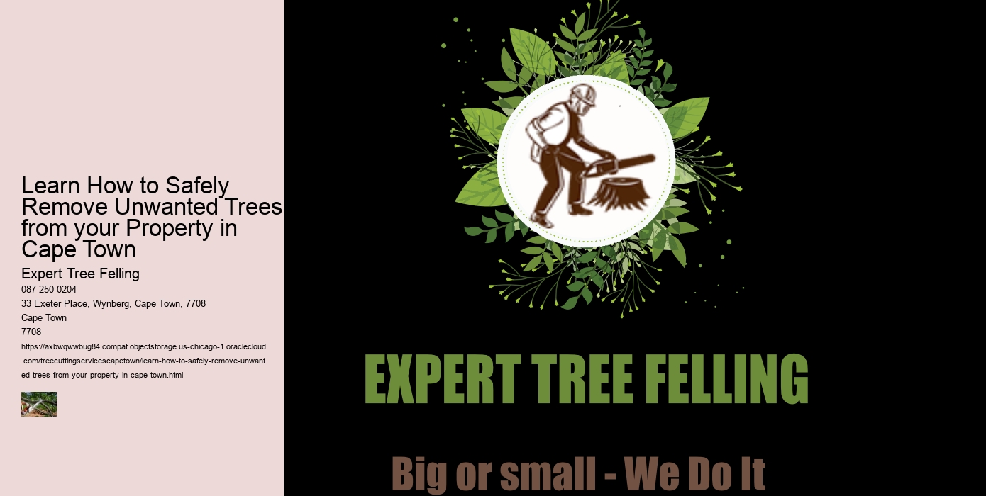 Learn How to Safely Remove Unwanted Trees from your Property in Cape Town