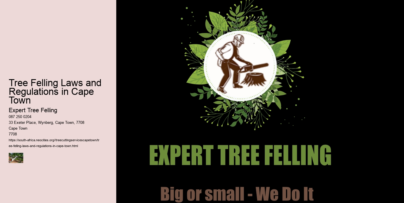 Tree Felling Laws and Regulations in Cape Town